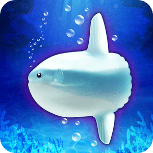 Aquarium sunfish simulation