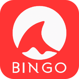 BINGO海淘乐