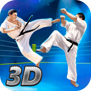 Karate Fighting Tiger 3D - 2