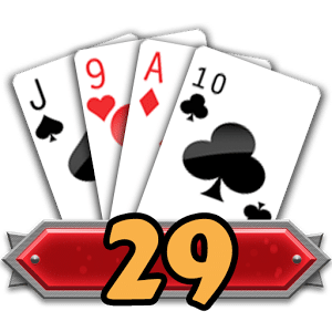 29 Card Game Challenge