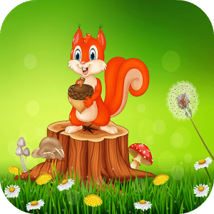 Squirrel Game For Kids