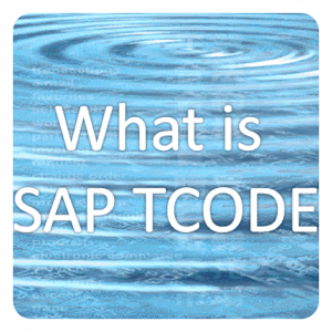What is SAP TCODE