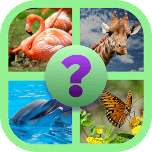 Reveal The Animal Quiz