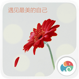 清新花朵梦象动态壁纸