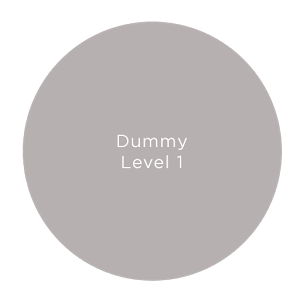 Dummy_level_1