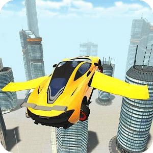 Flying Sports Car Simulator