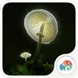 奇幻蘑菇梦象动态壁纸