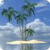 Palm In Tropical Island Live W