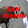 San Fermin Encierro Pamplona