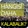 Hangisi Daha Kalabalık?