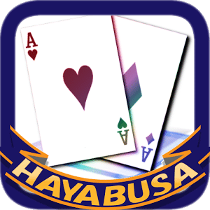 HAYABUSA Couple