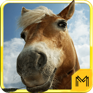 Horse Breeds and Pony Quiz HD