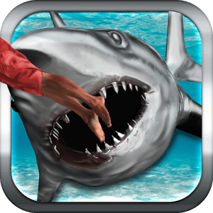 野生鲨鱼的3D模拟器