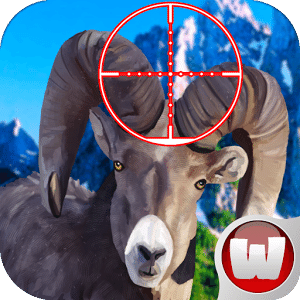 Find and Kill Sheep