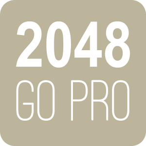 2048 Go Pro