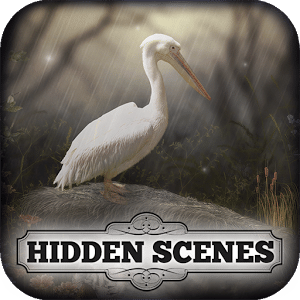 Hidden Scenes - April Showers