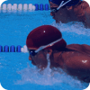 Swimming Competition