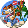 Bandicoot amazing crash summer advenure