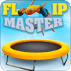 Tips for Flip Master 2017