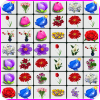 Onet Flowers