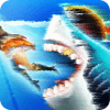 Guide for Hungry Shark World