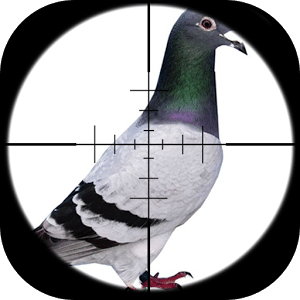 Pheasant Hunting Games 2k17