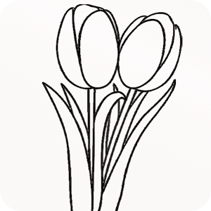 Tulip Coloring