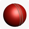 Cricket 2