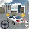 City Car Driving 3D