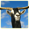 Goat Simulator 2016 3D