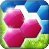 Hexagon: Block Puzzle Games