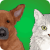 Pet Run: Cats & Dogs