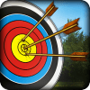 Archery Tournament Challenge