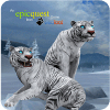 Tigers of the Arctic
