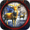Animal Jungle Safari - Deer Hunting Game 2017
