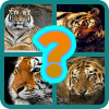 4 Pics 1 Animal - Guess the Animal