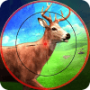 Deer Hunt Safari Sniper Animals Hunter