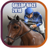 Gallop Race 2018