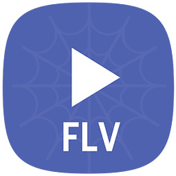 FLV 视频播放器
