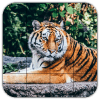 Tile Puzzles · Wild Animals