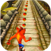 Temple Crash Jungle Run Bandicot