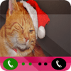 Call From Pretty Cat