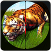 Wild Animal Hunting Game: Forest Attack Sim 2017
