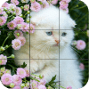 kittens Puzzle