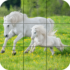 Puzzle - Beautiful Horses