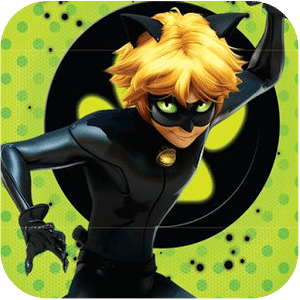 Cat noir Miraculous*