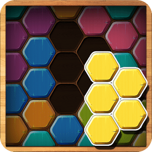 Wood Block Puzzle Hexa