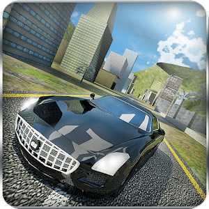 American Luxury and Sports Car Simulator