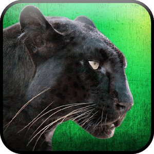 Wild Panther Hunter Survival