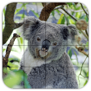 Tile Puzzles · Australia